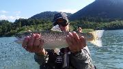 Perfect fins, Slovenia fly fishing